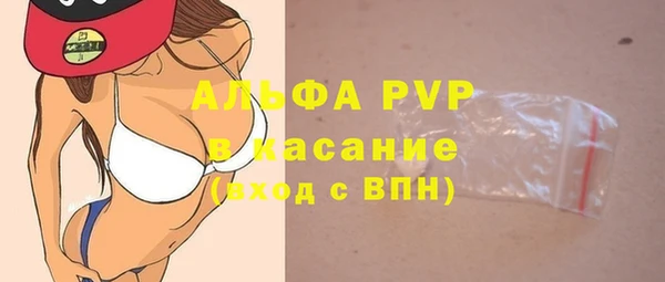 гидра Белокуриха