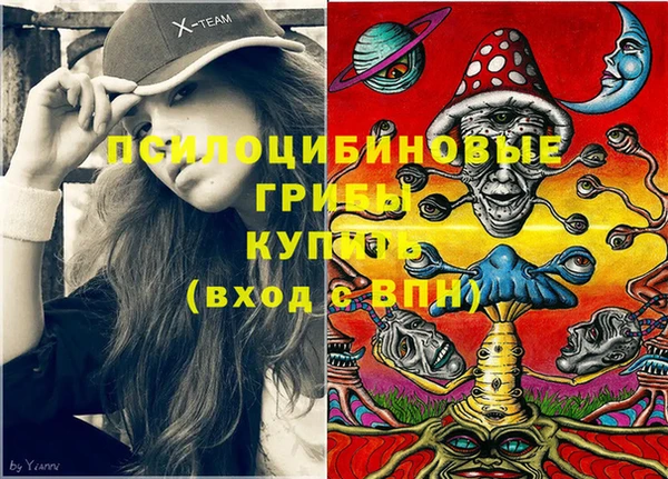 меф Гусев