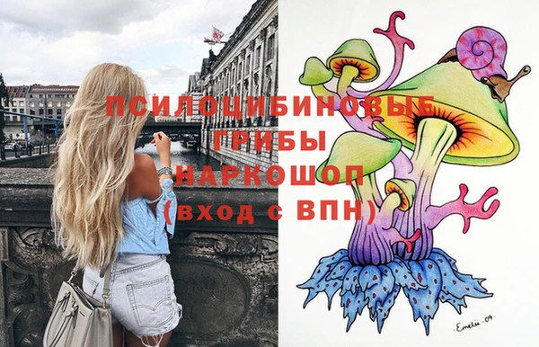 гидра Белокуриха