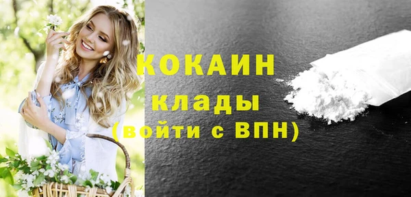 гидра Белокуриха