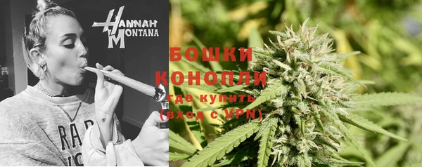 гидра Белокуриха